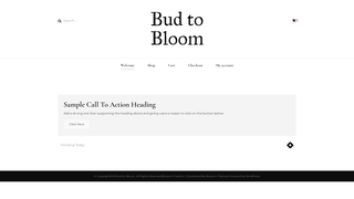 Thumbnail of budtobloomdecor.com