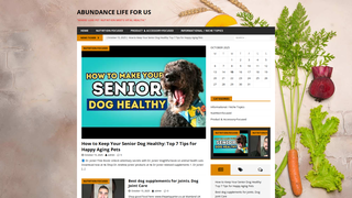 Thumbnail of abundancelifeforus.com