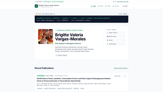 Site preview