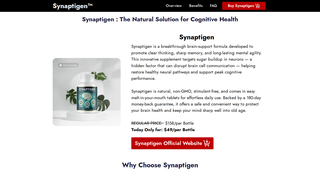 Thumbnail of us-synaptigan.com