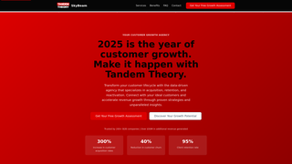 Thumbnail of tandemtesting.com