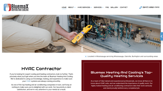 Thumbnail of bluemaxheatingandcooling.com