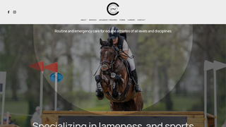 Thumbnail of chesapeakeequinevets.com