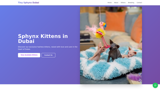 Thumbnail of tinysphynx.com