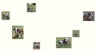 Thumbnail of dowdsbulldogs.com