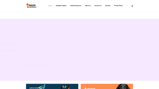Thumbnail of aarondoberman.com