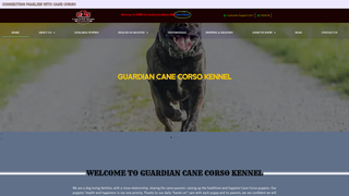 Thumbnail of guardiancanecorsokennel.com