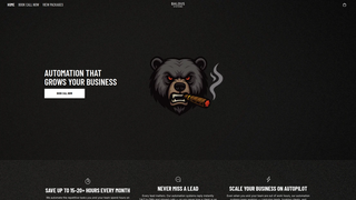 Thumbnail of baloussystems.com