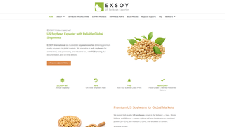 Thumbnail of exsoy.com