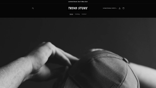 Thumbnail of trendstors.com