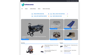 Thumbnail of techreviewershub.com