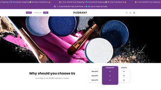 Thumbnail of pledrant.com