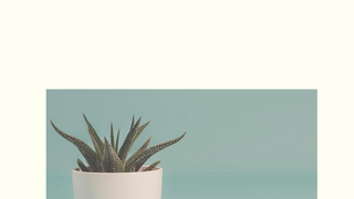 Thumbnail of thilivutherapy.com