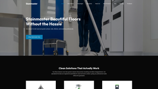 Thumbnail of mystainmaster.com