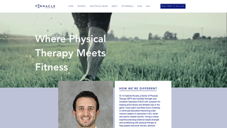 Thumbnail of pinnacletxpt.com