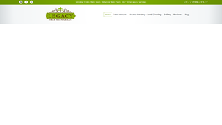 Thumbnail of legacytreesvc.com