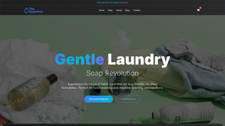 Thumbnail of thesoakwash.com