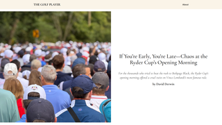 Thumbnail of thegolfplayer.com