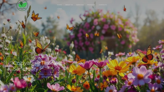Site preview