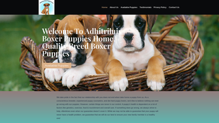 Thumbnail of adhitriluisboxerpuppieshome.com