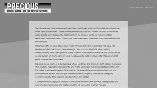 Thumbnail of preciousprojectmn.org