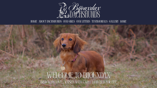 Thumbnail of bijouxdaxdachshunds.com