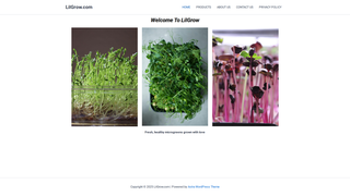 Thumbnail of lilgrow.com
