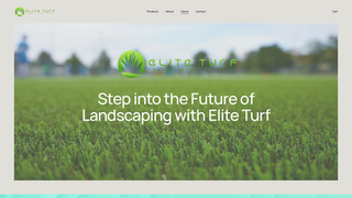 Thumbnail of eliteturfs.com