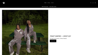 Screenshot of tenetempire.com