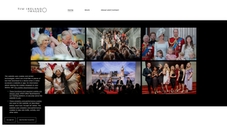 Thumbnail of timirelandimages.com