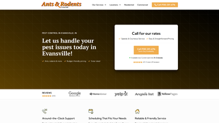 Thumbnail of antsrodentsevansville.com