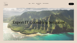 Thumbnail of laniitconsulting.com