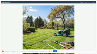 Thumbnail of dynathorix.com