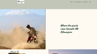 website thumbnail
