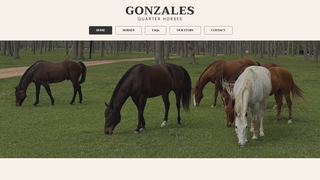 Thumbnail of gonzalesquarterhorses.com