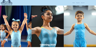 Thumbnail of goldengategymnastics.com