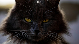 Thumbnail of almontecats.com