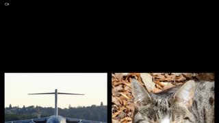 Thumbnail of shanemajerphotography.com