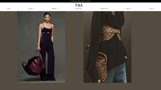 Thumbnail of tlhandbag.com