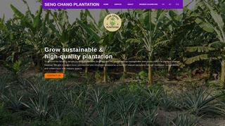 Thumbnail of sengchangplantation2026.com