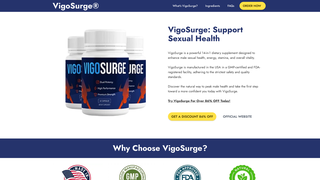 Thumbnail of eng-vigosurge.com
