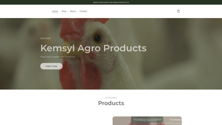 Thumbnail of kemsylagro.com