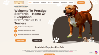 Thumbnail of prestigestaffords.com
