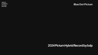 Thumbnail of bluedotpictum.com