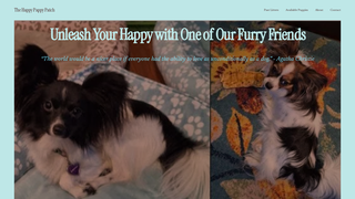 Thumbnail of happypappypatch.com