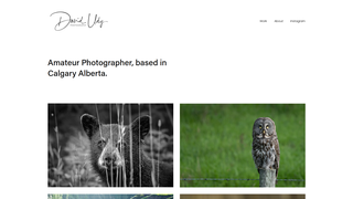 Thumbnail of davidudyphoto.com