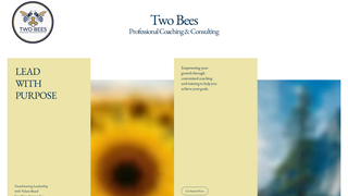 Thumbnail of twobeescoaching.com