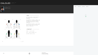Thumbnail of calilei.com