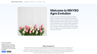 Thumbnail of shopmnybg.com