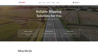 Thumbnail of libcargo.com